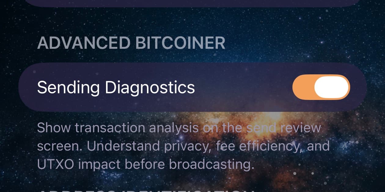 Bitcoiner Avanzato