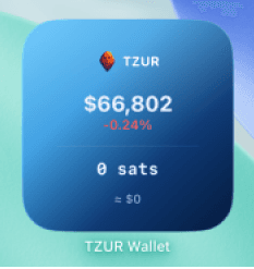 TZUR Small Widget